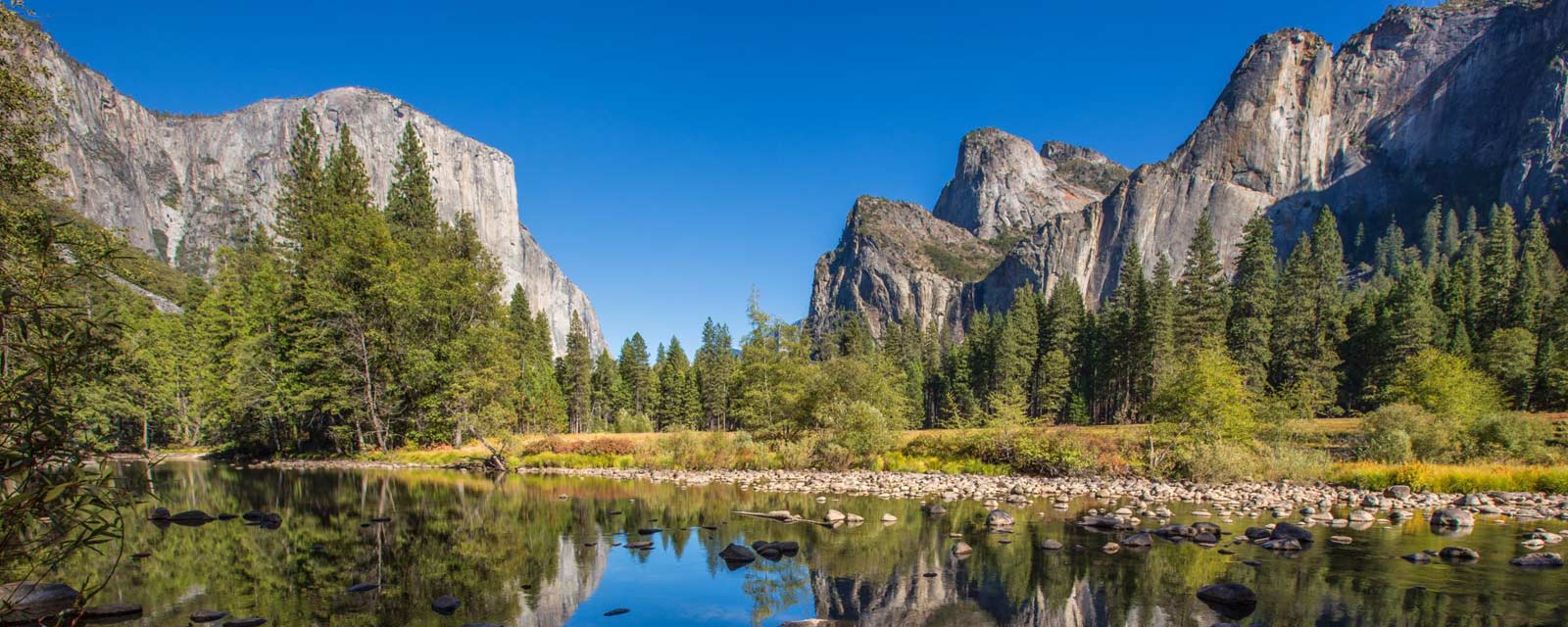 drive-toward-a-cure-california-adventure-2019-yosemite-meadow-1600x640 ...